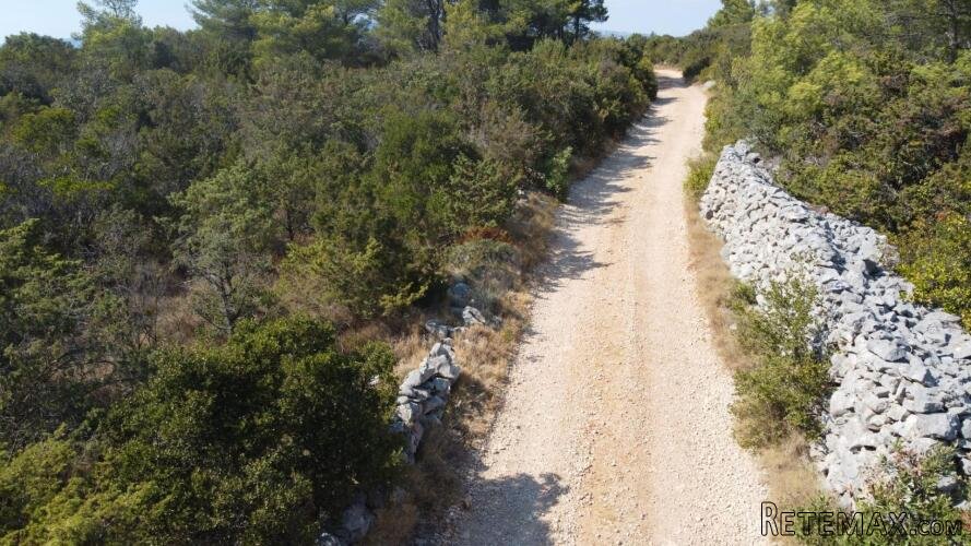 Jedinstvena prilika: građevinski teren s maslinicima na otok - 3