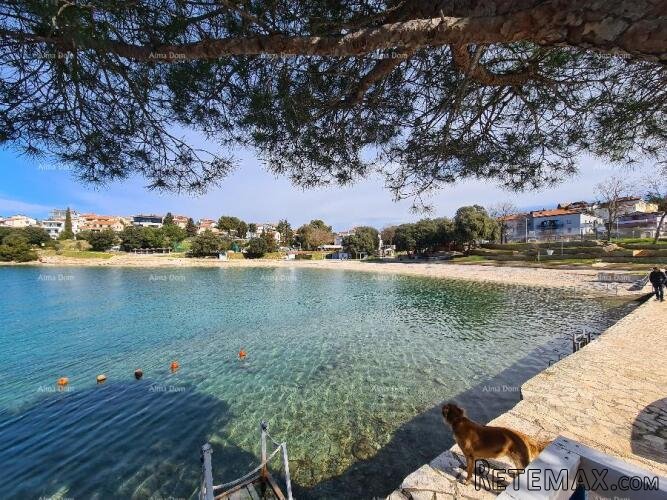 Prvi red do mora i plaže – kuća s bazenom i velikom oku.. - 3