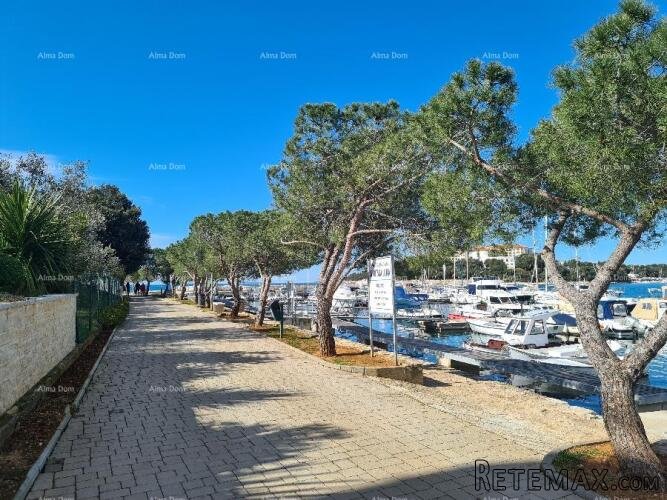 Prvi red do mora i plaže – kuća s bazenom i velikom oku.. - 4