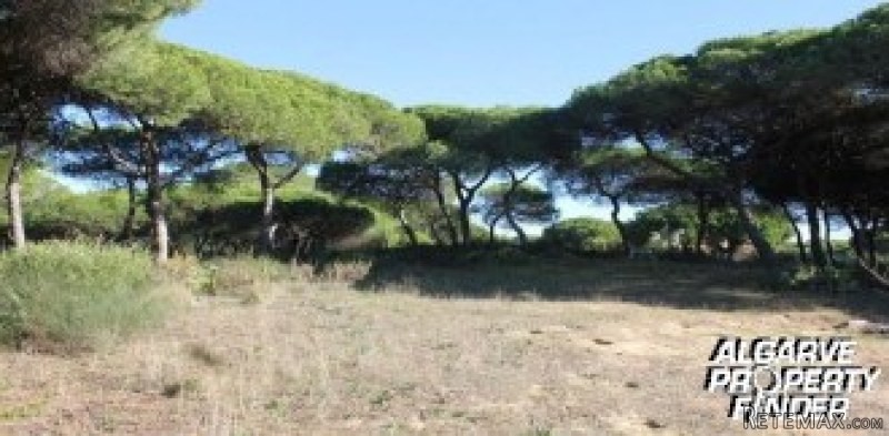 Te Koop: Bouwkavel In Centraal Algarve.. - 2