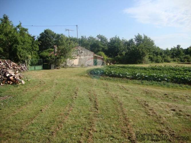 ISTRA, ŽMINJ, građevinsko zemljište sa starinom - 4