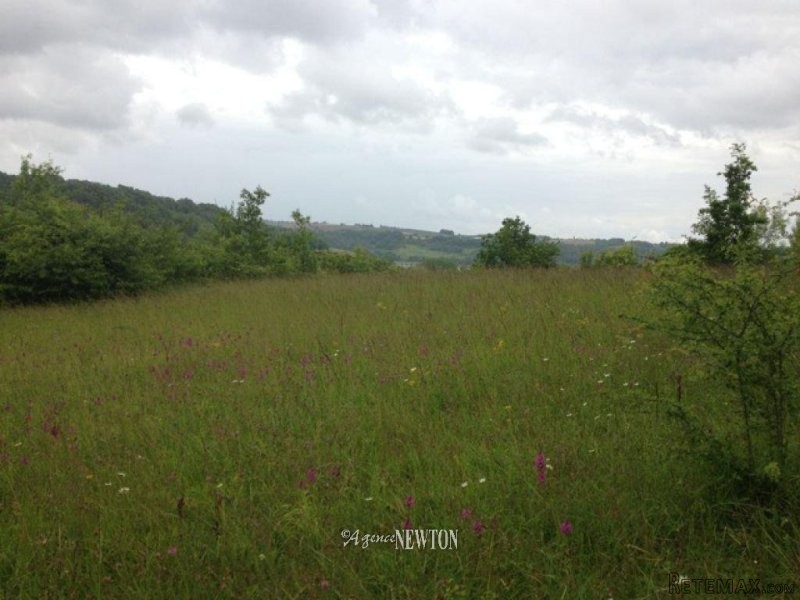 Quercy - ST Maurin - 4966 m2 land - 2
