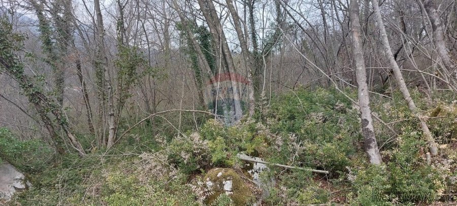Ičiči - Sv. Petar - građevinski teren 2.150 m2 - 2