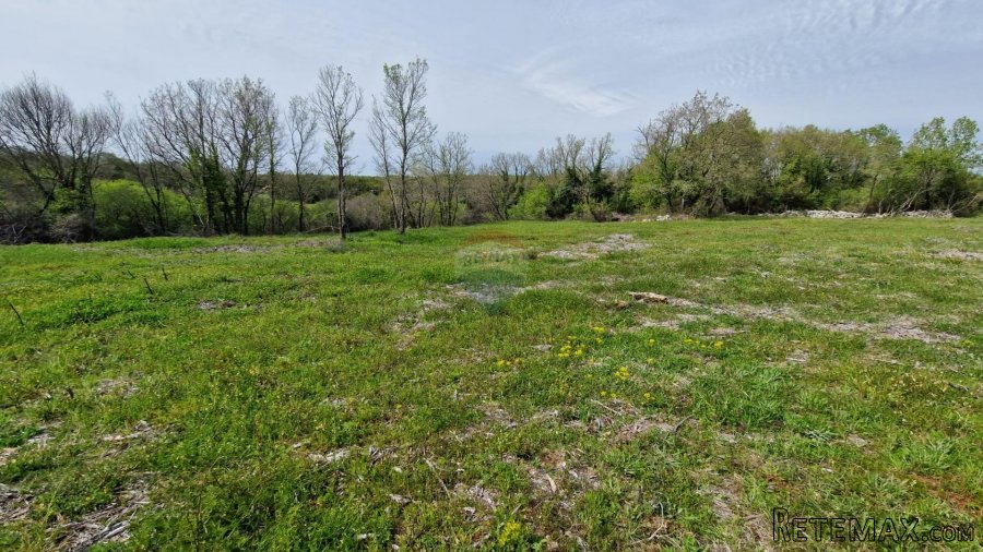 Istra, Rovinj, Negrađevinsko Zemljište 5928m2 - 2