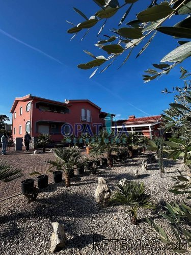 Vir/Dalmacija, kuća sa 4 apartmana 250m do mora - 2