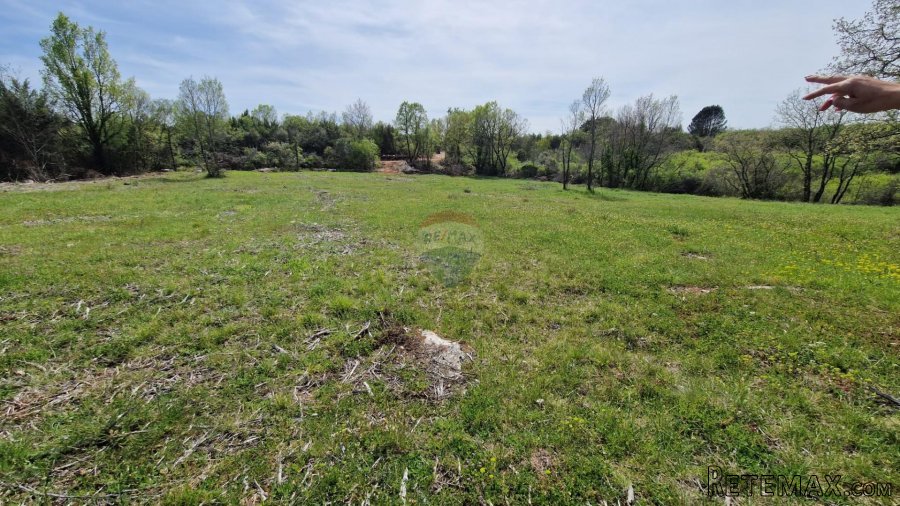 Istra, Rovinj, Negrađevinsko Zemljište 5928m2 - 4