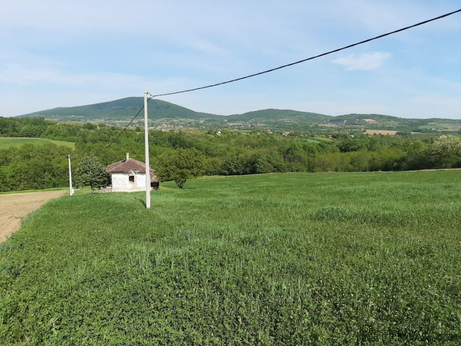 Plac sa pogledom na Kosmaj,1ha i 52ara - 5