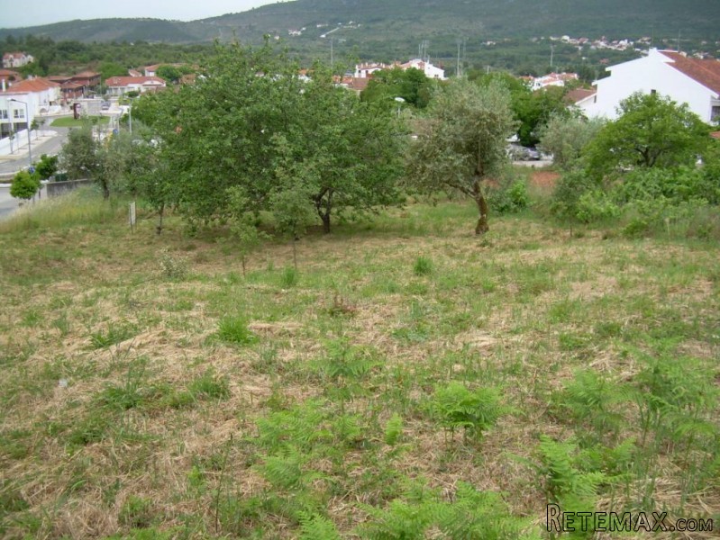 Urban plot of land in Alvaiazere