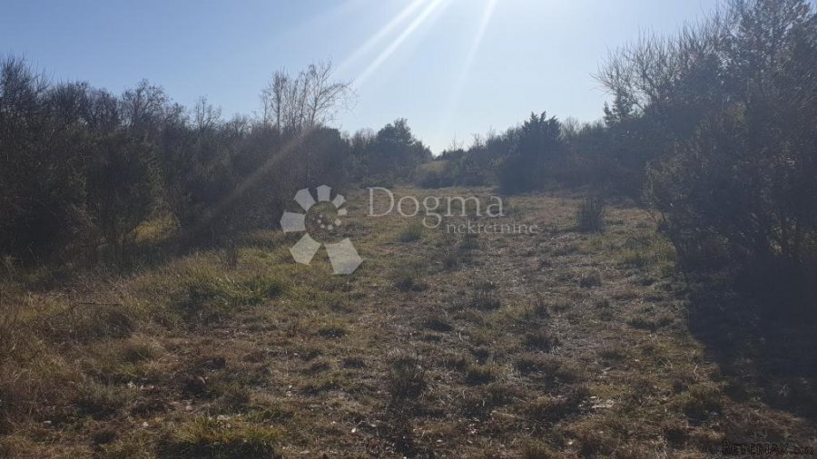 Poljoprivredno zemljište 2943 m2