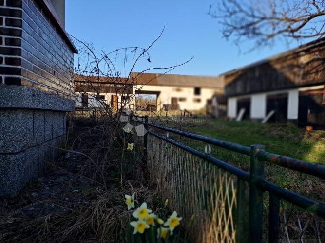 11ha, bunar, besplatni vodovod... - 2