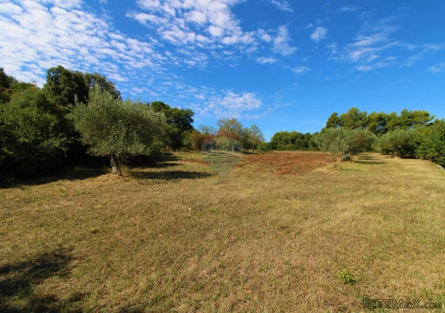 Rovinj,Salteria 10500m2 uz građevinsku zonu+2 legalizirana o - 4