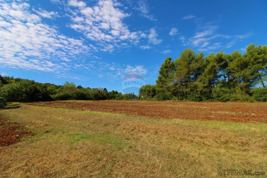 Rovinj,Salteria 10500m2 uz građevinsku zonu+2 legalizirana o - 5