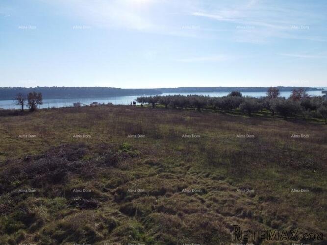 Apartman s krovnom terasom - Residencija Novi Home Novigrad - 7