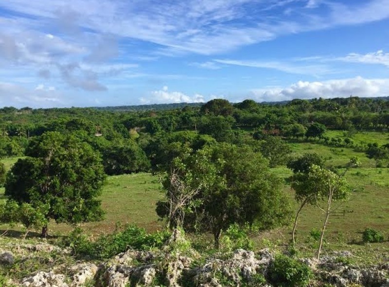 Cabarete Land With Ocean Views Priced.. - 2