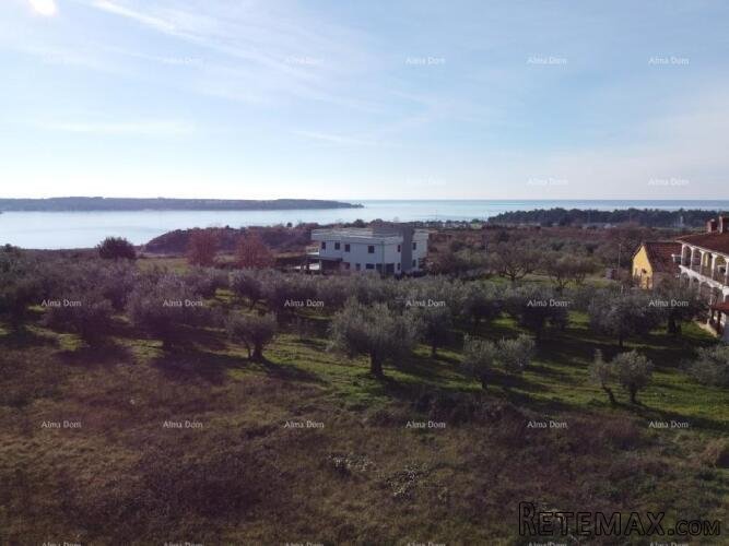 Apartman s krovnom terasom - Residencija Novi Home Novigrad - 8