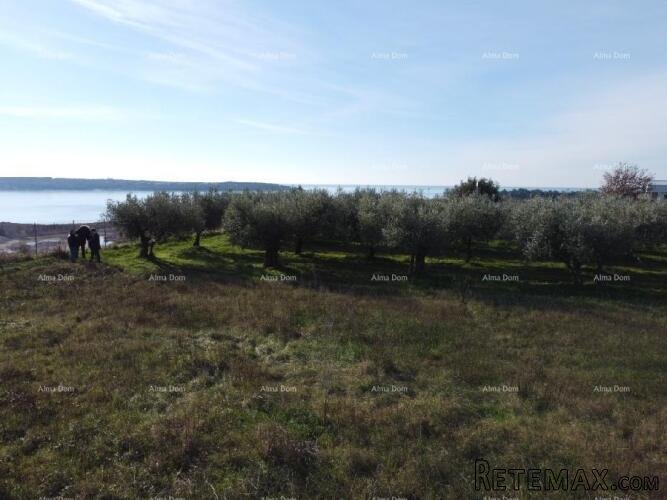 Apartman s krovnom terasom - Residencija Novi Home Novigrad - 9