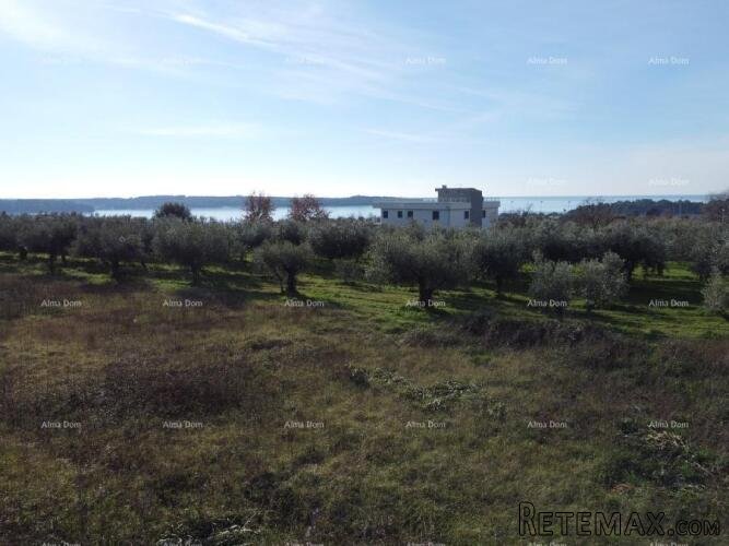 Apartman s krovnom terasom - Residencija Novi Home Novigrad - 10