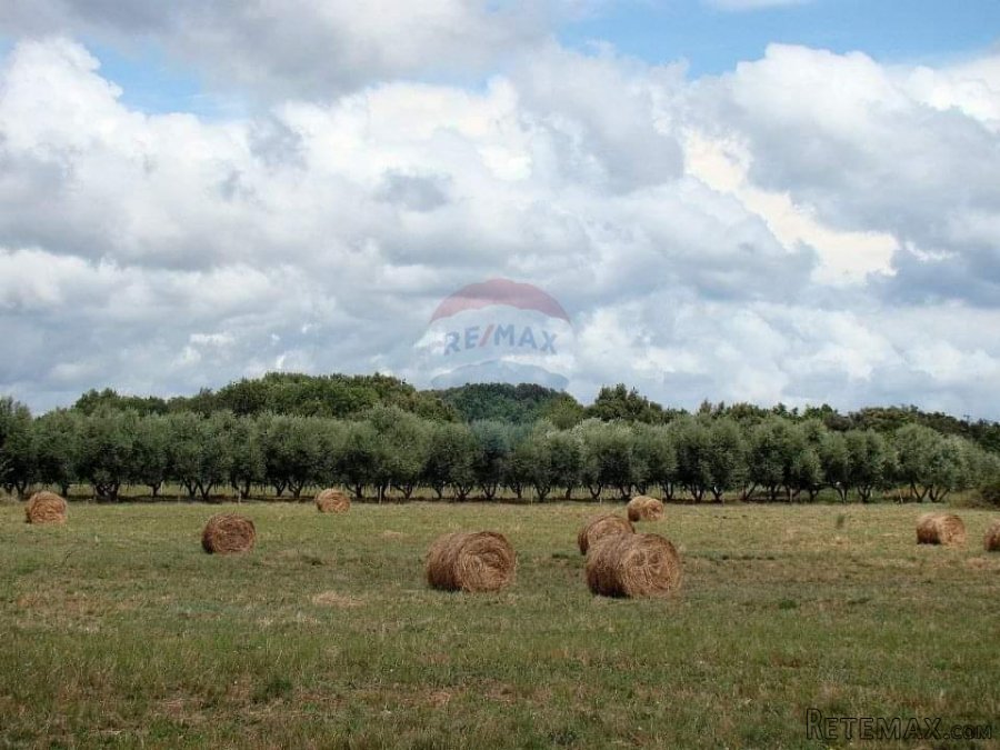 Pula, Ližnjan, građevisnko zemljište TP namjene uz glavnu pr - 2