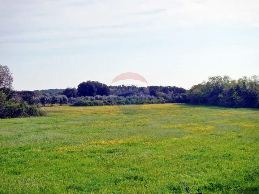 Pula, Ližnjan, građevisnko zemljište TP namjene uz glavnu pr - 5