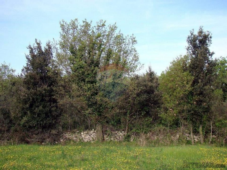 Pula, Ližnjan, građevisnko zemljište TP namjene uz glavnu pr - 8