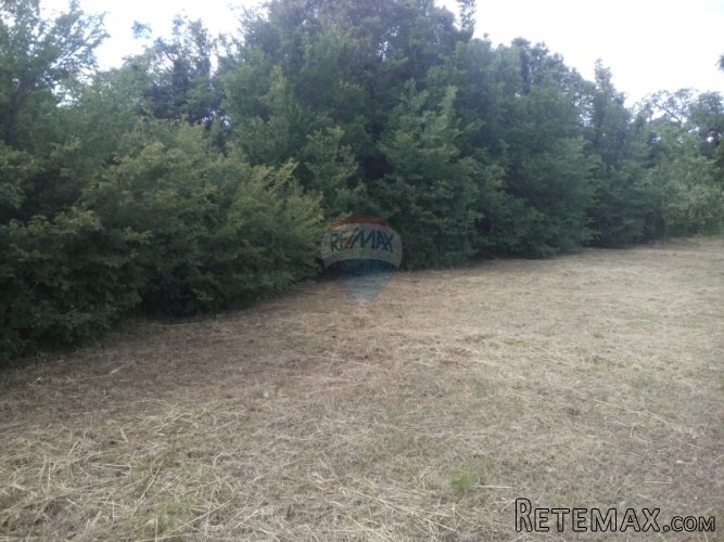 ISTRA, PINEZIĆI GRAĐEVINSKO ZEMLJIŠTE