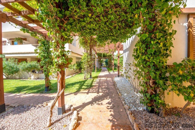 This beautiful renovated apartment is a stone's throw from.. - 8