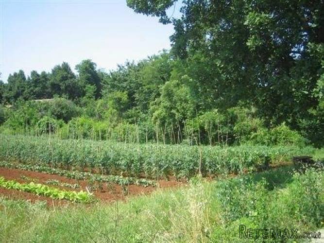 Istra, Umag- Građevinsko zemljište 400m od mora - 2