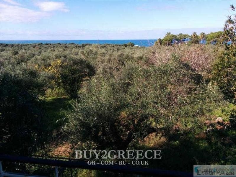 B720 - FOR SALE LAND OF 5 ACRES