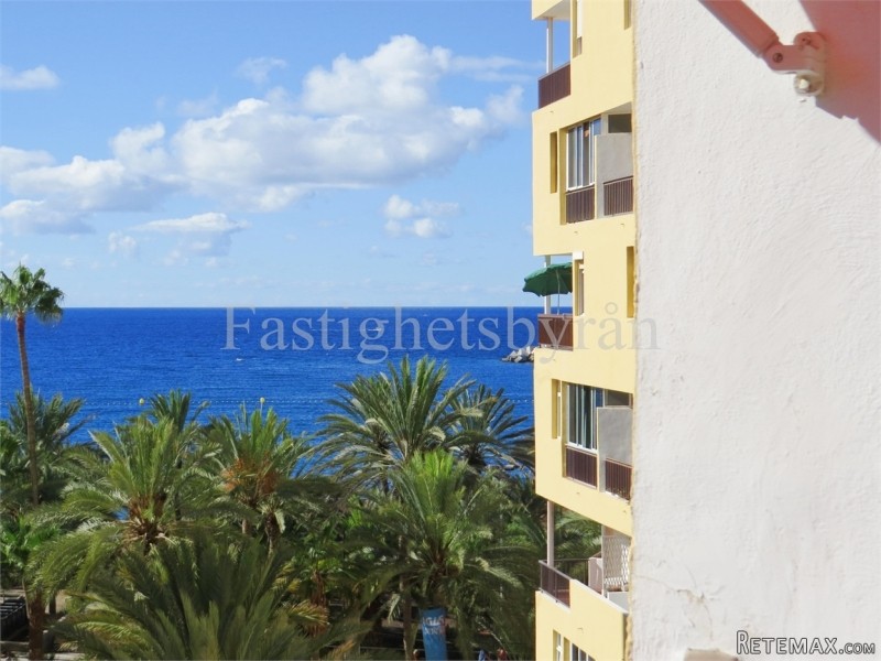 Los Cristianos | Teneriffa