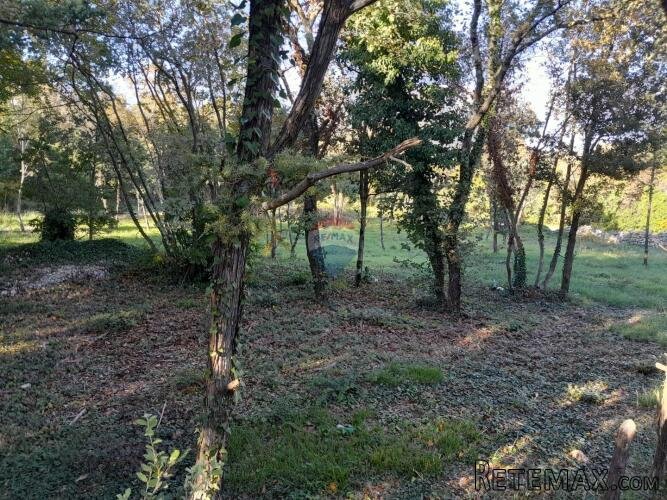 Istra,Rakalj,građevinsko zemljište 2136 m2 - 3