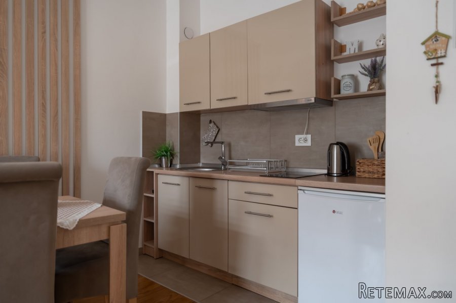 Apartman na Zlatiboru sa parkingom - 4