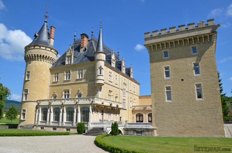 24 Bedroom Castle For Sale In Cornod
