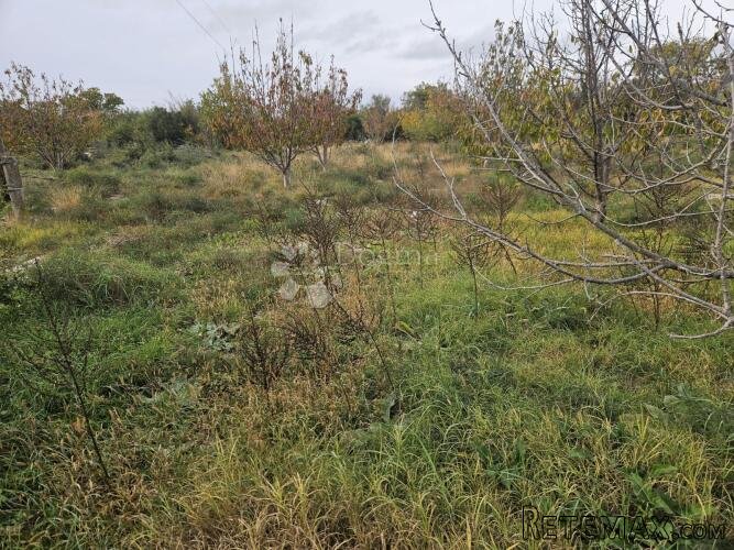 Građevinsko zemljište u Polači – Vaša buduća investicija! - 2