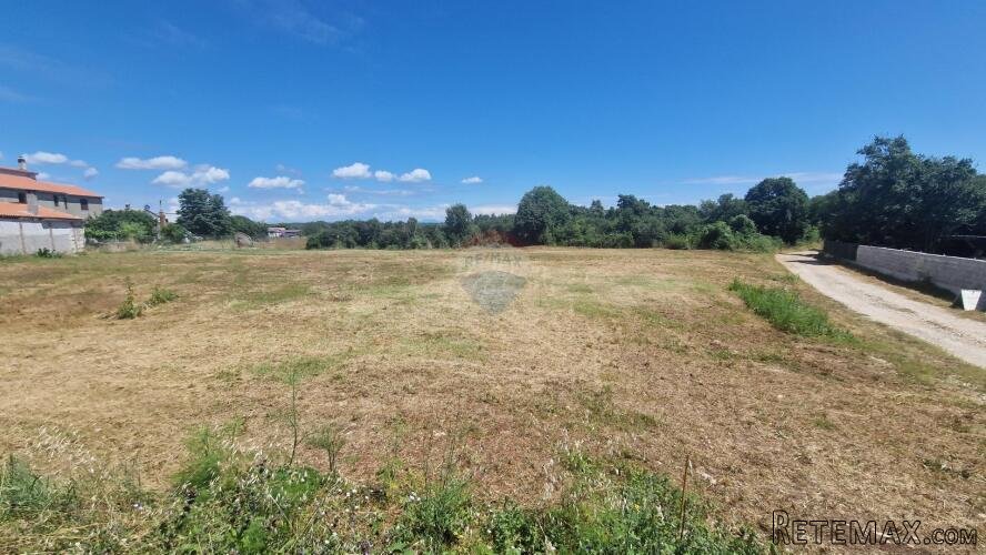 Istra, Šišan, građevinsko zemljište 1699 m2 - 2