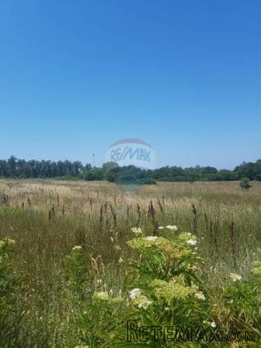 Istra, Lovrečica, poljoprivredno zemljište 2 km od mora - 2