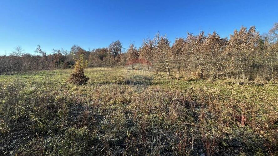 Poreč - okolica, poljoprivredno zemljište sa vodom na terenu - 2