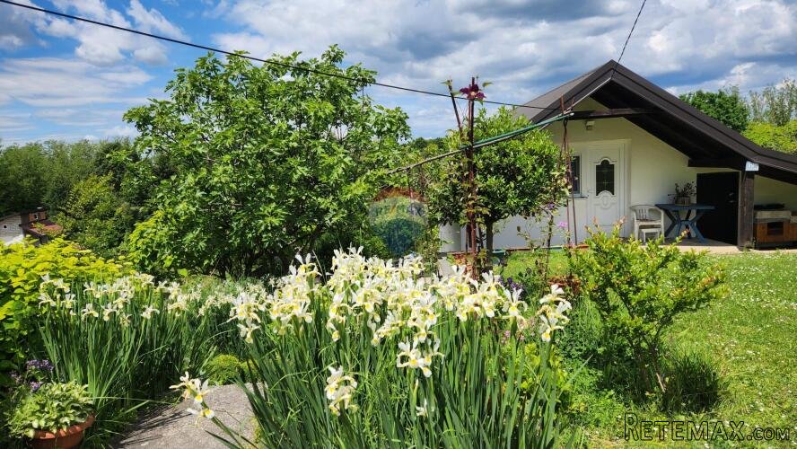 Velika Gorica, Kozjača , kuća sa velikom okućnicom - 2