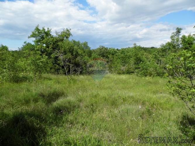 Istra - Bale - poljoprivredno zemljište 65.000 m2 - 2