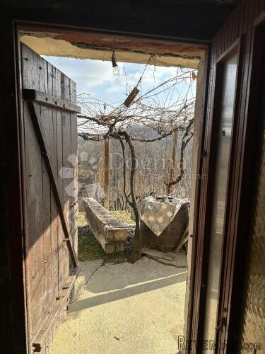 Vikend kuća s vinogradom i šumom - 3