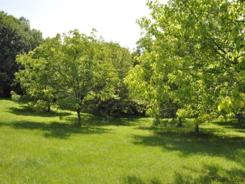 Close To Beynac And Sarlat - Situated.. - 2