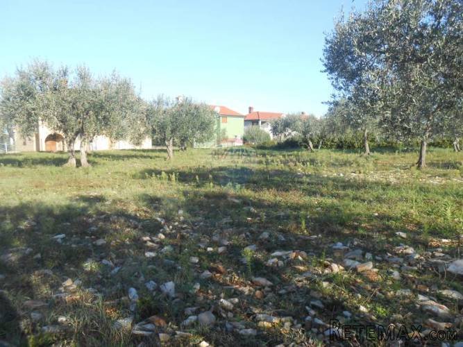Istra, Vodnjan, Galižana, velika parcela na rubu... - 3