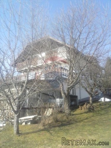 Velika kuća sa poslovnim prostorom - 3