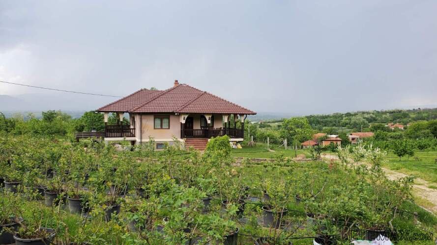 Prodajem kucu sa plantazom Žbevac-Bujanovac - 5