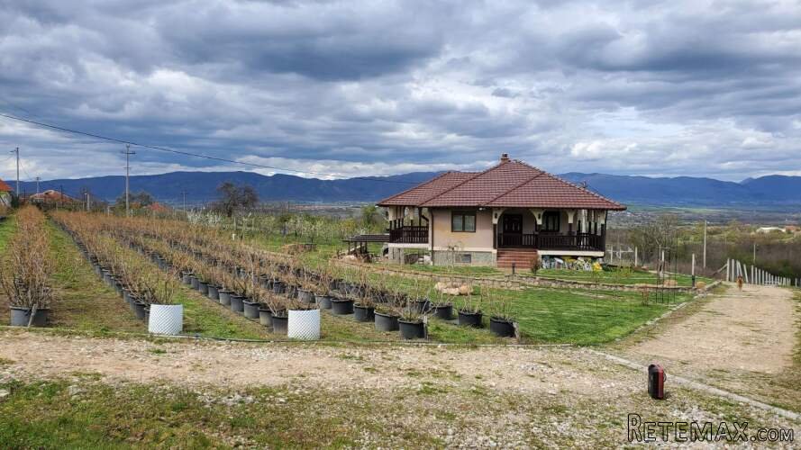 Prodajem kucu sa plantazom Žbevac-Bujanovac - 6