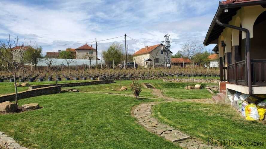 Prodajem kucu sa plantazom Žbevac-Bujanovac - 8