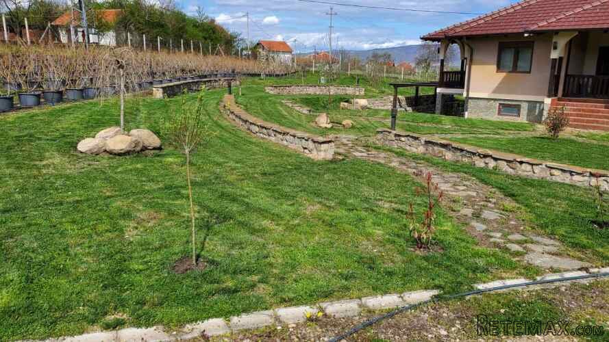 Prodajem kucu sa plantazom Žbevac-Bujanovac - 9