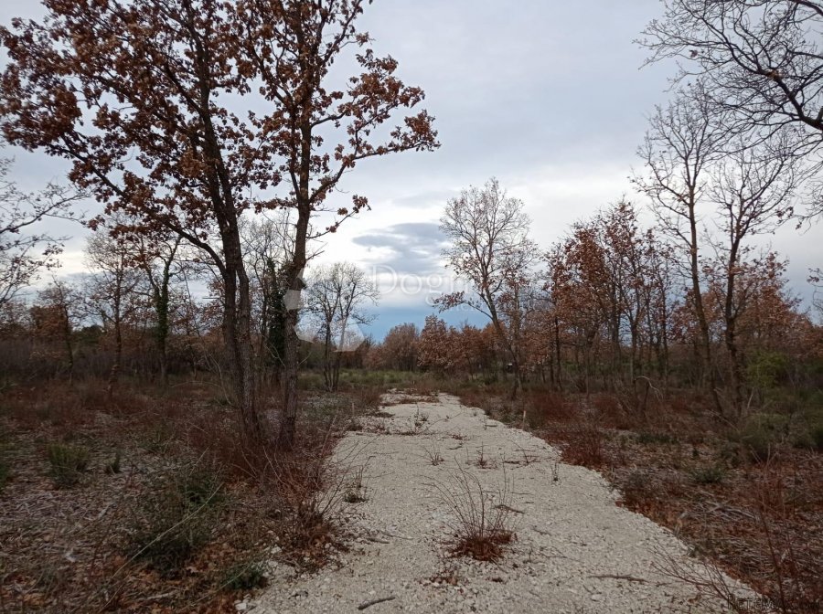 Zemljište na lijepoj lokaciji 2km od mora