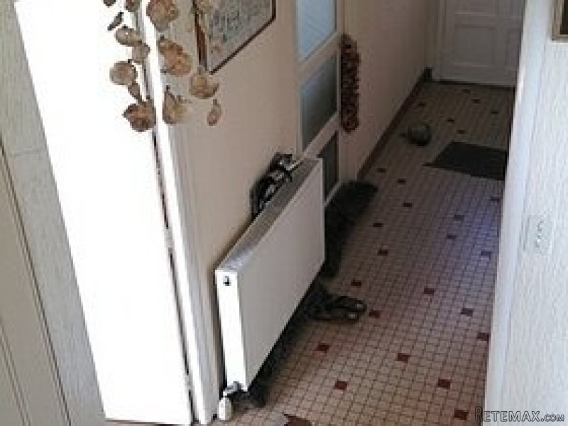 Turnkey, det' 4 bed village hse, cellar - 2