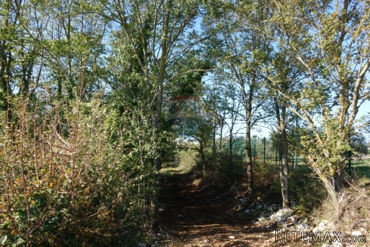 Istra, Kanfanar, građevnsko zemljište gopodarske namjene - 4
