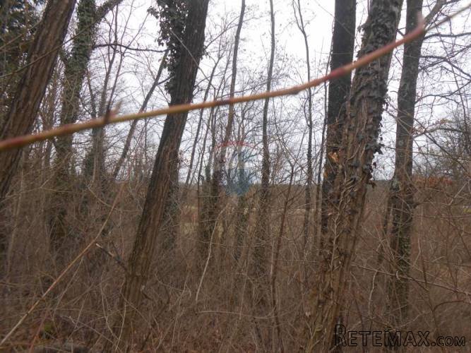 Istra, Žminj, veliko građevinsko zemljište u srcu Istre - 5